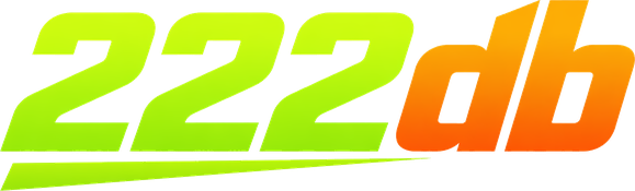 222db অনলাইন গেমিং লোগো